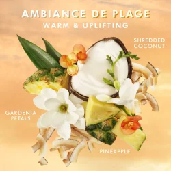 Hand Wash Ambiance De Plage 360ml