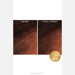 Moroccanoil Revitalizing Scalp Tonic 100ml